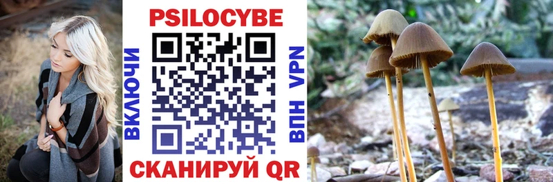 Псилоцибиновые грибы MAGIC MUSHROOMS  закладка  Гуково 